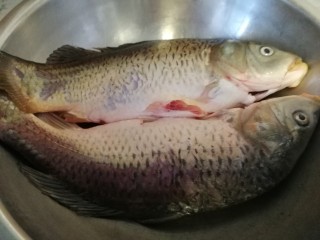 1、年夜菜_麻辣清蒸江鲫鱼&一锅两吃,把鱼收拾干净，洗净备用