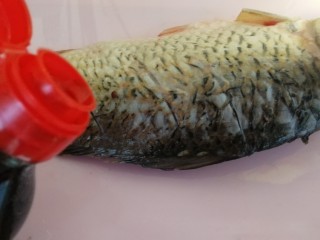 6、年夜菜_麻辣清蒸江鲫鱼&一锅两吃,把香油分别正反两面抹到鱼身上（如图）。