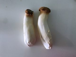 1、蚝油杏鲍菇,春节家宴必备,1.准备好两根杏鲍菇清洗干净。