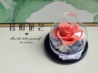 13、【啤酒鸭】,进口永生花