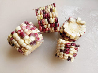 5、排骨煲,玉米去皮，洗净切段，