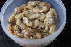 2、莆田蛏熘,去壳把蛏子肉剥出来。