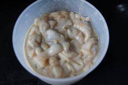 4、莆田蛏熘,接着用盐、料酒、淀粉把蛏子肉腌制10分钟。