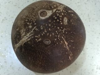 1、海南椰子鸡,超市有椰青和椰王，喝汁的话买椰青，吃肉买椰王，我们要挖椰肉炖鸡，别买错了。