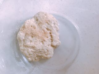 12、家庭自制凉皮,面筋团加少量酵母揉均匀，静置半小时