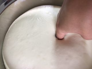 5、手揉菠萝包～家庭烘焙基础课之面包课程,面团发酵到两倍大取出