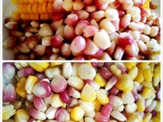 2、「Cathy边吃边营养」彩色松仁玉米,玉米也是新鲜的，将它蒸熟，剥下来一些备用