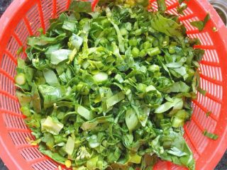 2、潮汕芥蓝牛肉炒粿条(湿炒牛河),切成碎沥干水分备用