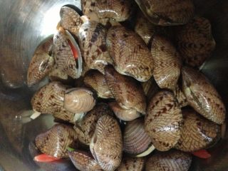 1、酱爆芒果贝,芒果贝放在清水里泡半天吐沙；