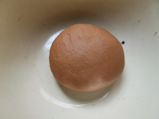 8、红糖开花馒头（只加酵母粉版）,揉成光滑的面团，盖上保鲜膜。。