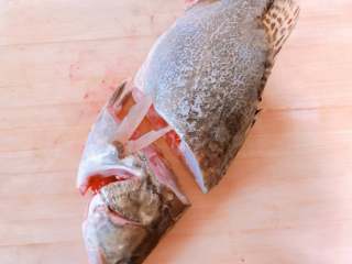 2、松鼠桂鱼,将桂鱼洗净，切掉头