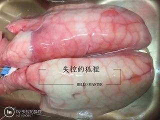5、猪肺的处理方法,猪肺由红彤彤的,慢慢变白。