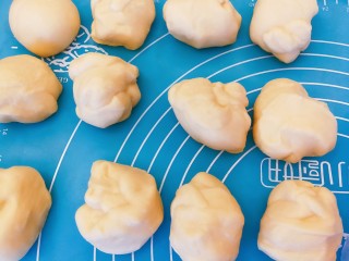 12、适合新手的一次性发酵酸奶小餐包,面团醒发后，用擀面杖稍压排气，分成50克左右的一个小面团，记住面团上要加盖保鲜膜，我为了拍照，暂时把保鲜膜放一边了