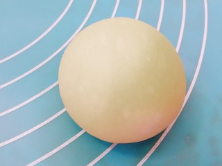 14、适合新手的一次性发酵酸奶小餐包,这是最后滚圆成型的餐包胚