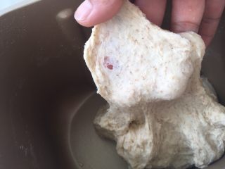 2、全麦吐司,将面团揉至扩展状态,可以撑出厚一点的膜