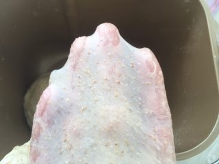 4、全麦吐司,揉好的面团,切下一小块,可以撑出有弹性的手套膜