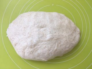 7、全麦吐司,将面团取出,轻轻按压排气