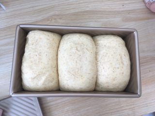 14、全麦吐司,面团发酵至8、9分满,按下去很有弹性即可,预热烤箱180度烤40分钟