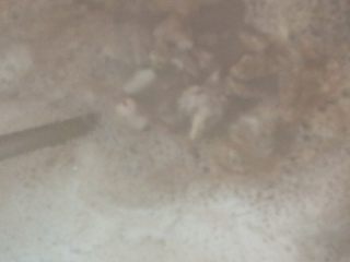 4、猪肺雪梨汤,放进锅里烧开