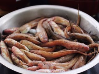 1、不加一滴油的清蒸海光鱼????,这是活的新鲜光鱼、朋友送来的时候、鱼还喘气呢