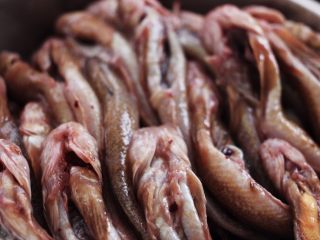 3、不加一滴油的清蒸海光鱼????,把所有的光鱼都收拾干净后