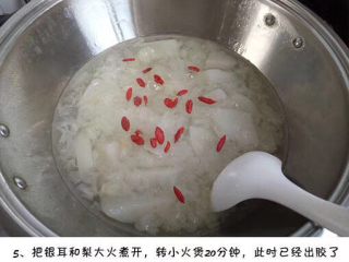 5、养颜清肺银耳羹,把银耳和雪梨大火煮开，然后小火炖20分钟，此时已经出胶了，加入冰糖和枸杞再炖10分钟左右即可