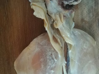 1、玉米墨鱼炖肉,墨鱼处理干净。