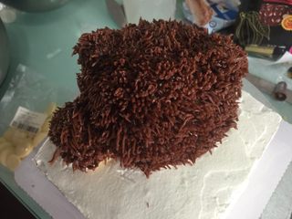 22、立体小熊蛋糕,用233的裱花嘴挤出细条,把小熊的头、手都挤好,有空的地方再用2号花嘴填补