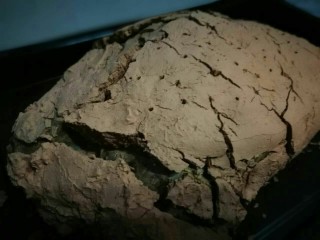 12、烤箱版叫花鸡,2小时后，出烤箱。（香味飘满了整间屋子，绝对是巨大的诱惑）