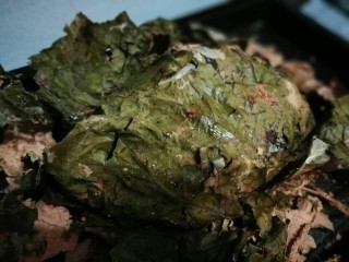 13、烤箱版叫花鸡,一层层剥开荷叶。不要一剪到底，防止泥巴掉落到鸡肉上。