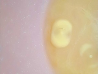 2、过年智胜熊孩子利器☞美味棒棒糖，家庭快手制作,小火融化黄油。