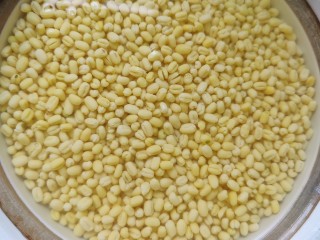 2、家庭版自制减脂绿豆糕（麻油蜂蜜版，无黄油无白砂糖无麦芽糖）,第二天泡好的样子，因为我前一天泡的时候换了几次水，所以白天用的时候水比较清。