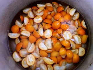 5、自做金桔柠檬茶,不只能止咳化痰,还是面包好伴侣,放锅中加入金桔两倍的水大火烧开转中小火煮30分钟。