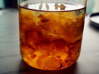 2、桃胶百合红枣汤,桃胶提前一天泡好，这是泡了一个晚上的桃胶，体积比原来增大好几倍呢