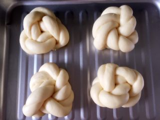 14、牛奶黑芝麻小餐包,发酵好的面包坯，胀大饱满了许多。