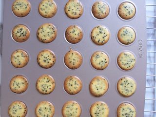 10、芝麻薄脆,160度，20分钟