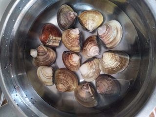 1、大碗蛤蜊,将新鲜买的蛤蜊放水中养着，等它吐出沙子以及一些脏东西。