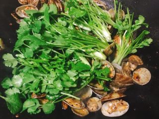 6、辣炒花蛤,将香菜段倒入翻炒至变软，盛出