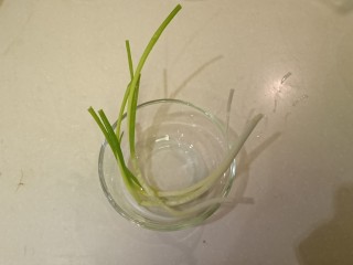 13、电饭煲+海南鸡饭,蔥洗淨