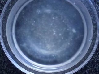 8、干了这杯蔓越莓芒果西米露吧～,然后放入凉水浸泡会，口感会更好更Q弹