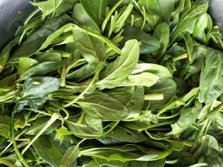 2、家常菠菜炒鸡蛋,新鲜菠菜，摘好清洗干净