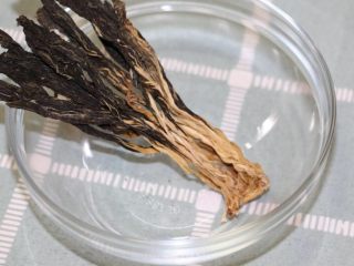 1、菜干咸瘦肉粥,白菜干