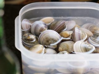 1、酒蒸文蛤,文蛤提前浸泡吐沙，可加少量油或盐，容易让文蛤吐沙。用清水反复冲洗几遍。