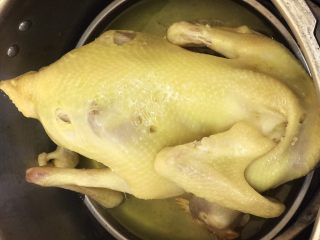 8、原味养生鸡,15分钟开盖！带上手套直接开扯吃，鸡腿扯下时鸡本身的油被高温逼出顺着鸡肉滑下