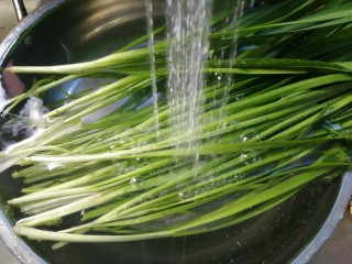 4、家常菜+韭菜炒小白虾,韭菜冲洗干净,切小段