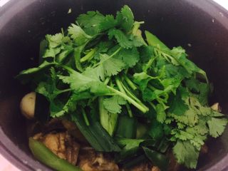 14、家庭版大盘鸡,加入香菜