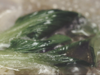 3、不用熬的元气鸡汤馄饨,放入青菜烫熟，捞出装碗