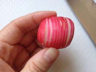 2、凉拌樱桃萝卜,再将萝卜切成连刀薄片（注意别切断了）