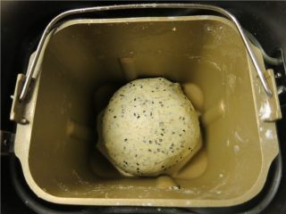 4、营养健康黑芝麻全麦早餐包,最后几分钟时加入黑芝麻，直至和面完成。将面团整理成团，取出搅拌刀，启动发酵功能进行一发
