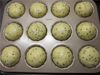 9、营养健康黑芝麻全麦早餐包,发到2倍大小，表面刷蛋液